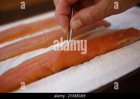 Southern German cuisine, preparation of sorrel soup with char, raw char fillets, remove bones with tweezers, freshwater fish, savoury, salty, healthy, Stock Photo
