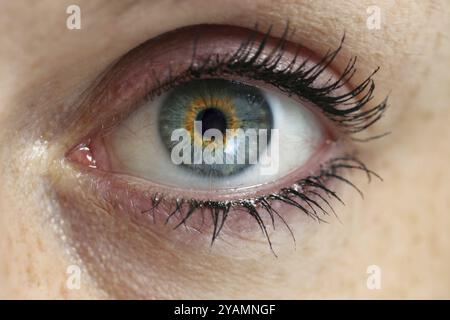 Eye looking at viewer concept background macro Stock Photo - Alamy
