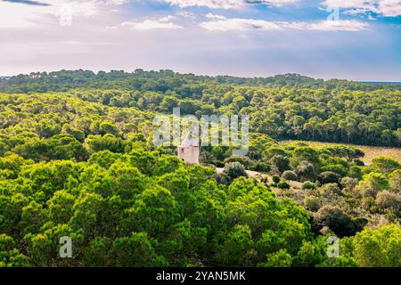 The Moulin du Bonheur de Porquerolles, in the Port Cros National Park, in the Var, in Provence, France Stock Photo