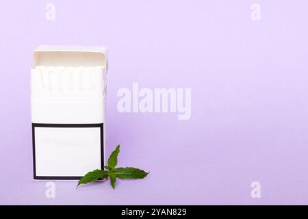 Pack of menthol cigarettes and fresh mint on colored table, Menthol cigarettes top view flat lay. Stock Photo