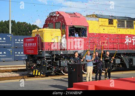 Kunming,China.14th October 2024. The first China-Laos Railway 'Beijing-Yunnan-Lancang-Mekong Line' international freight train loaded with bananas imported from Laos departed from Wangjiaying West Railway Station in Kunming City, Yunnan Province,marking the official opening of the China-Laos Railway International Cold Chain Train and the 'Beijing-Yunnan-Lancang-Mekong Line' international freight train. Credit: Li Jiaxian/China News Service/Alamy Live News Stock Photo