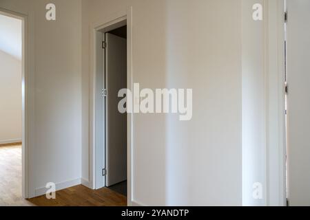 Modern new empty apartment interior with white wooden doors, selective focus Stock Photo