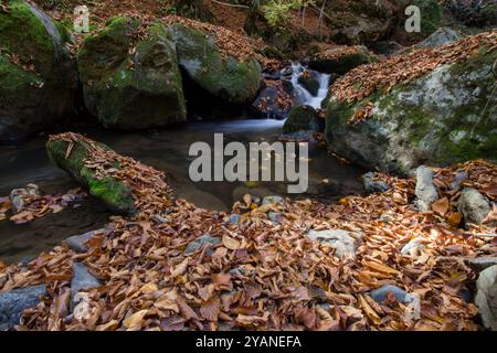 Lukovo, Serbia - oct 15, 2024 - Lukovo spa (Lukovska banja) beautiful tourist landmarks , attractions, sightseeing Stock Photo