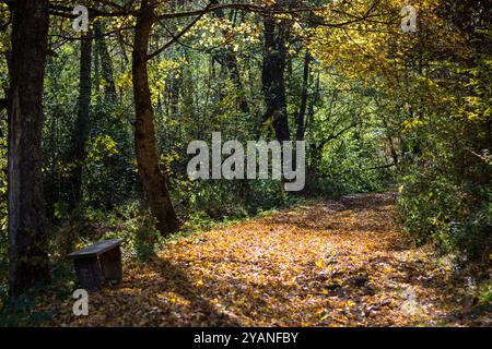 Lukovo, Serbia - oct 15, 2024 - Lukovo spa (Lukovska banja) beautiful tourist landmarks , attractions, sightseeing Stock Photo