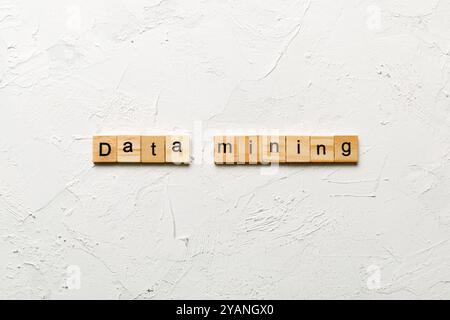 Data mining word written on wood block. Data mining text on cement table for your desing, concept. Stock Photo