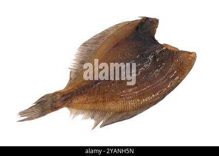 Dried flounder isolated is on white background. Background of dried flounder. Dried flatfish isolated. Stock Photo