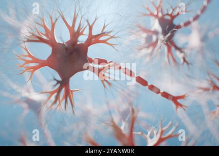 Neuron cells in human brain. Neurology and neural networks concept. 3D rendered illustration. Stock Photo