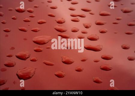 Water drops on red car hood after rain. Stock Photo