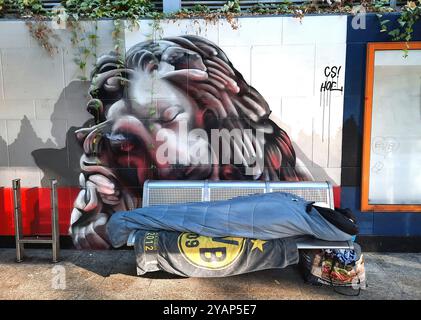 Ein Obdachloser schläft unter dem Wandbild eines schlafenden Löwen auf einer Bank der S-Bahn-Station *Möllerbrücke* in Dortmund, 15.10.2024 Stock Photo