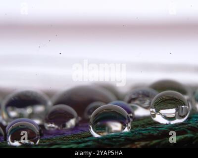 beautiful Background of peacock feather with water drops. Stock Photo
