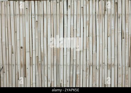Abstract wall texture made from bamboo background Stock Photo