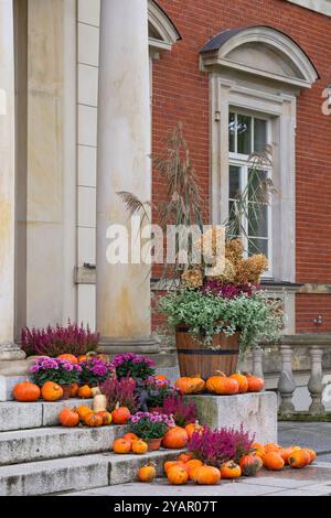 Autumn porch decoration with vibrant pumpkins, colorful flowers, and dry grass in wooden barrel on stone steps building Stock Photo