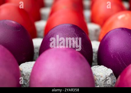 Easter eggs in cardboard egg tray, rows of eggs Stock Photo