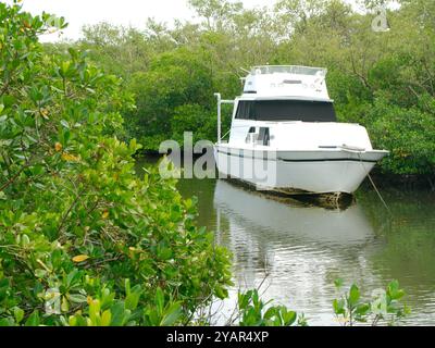 White fishing boat on right framed by green mangrove trees in front and back. Reflections in the water reflecting boat and sunlight. Water and sun spa Stock Photo