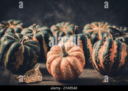 Various small pumpkins with a striped pattern on wooden background, top view with copy space Stock Photo