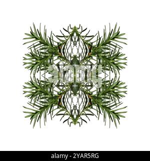 Abstract geometric composition of coniferous branches. Christmas symmetrical geometric pattern. Stock Photo