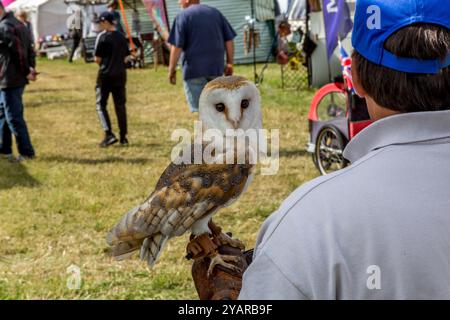 Steam Engine Rally and Country Fair Weeting Stock Photo