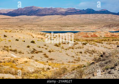 Echo wash drains into the Overton Arm of Lake Mead at Echo Bay, Nevada, USA Stock Photo