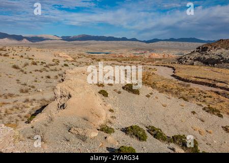 Echo wash drains into the Overton Arm of Lake Mead at Echo Bay, Nevada, USA Stock Photo