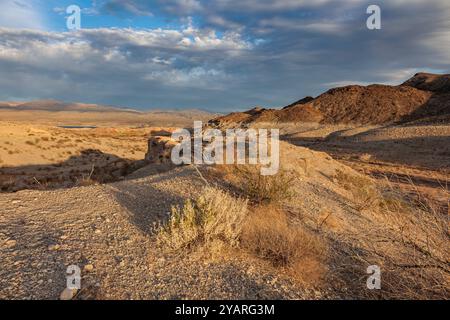 Echo wash drains into the Overton Arm of Lake Mead at Echo Bay, Nevada, USA Stock Photo