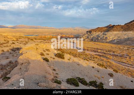 Echo wash drains into the Overton Arm of Lake Mead at Echo Bay, Nevada, USA Stock Photo