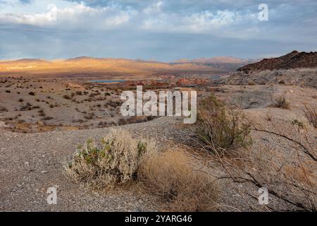 Echo wash drains into the Overton Arm of Lake Mead at Echo Bay, Nevada, USA Stock Photo