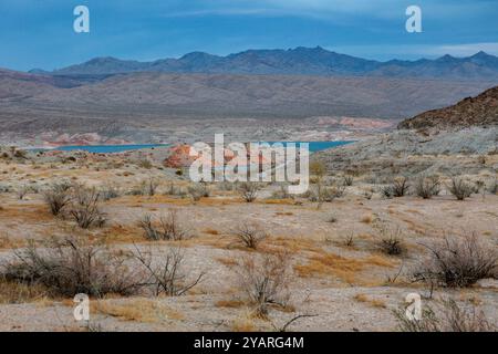 Echo wash drains into the Overton Arm of Lake Mead at Echo Bay, Nevada, USA Stock Photo