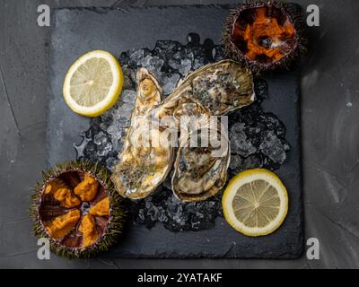 Raw oysters closed in shells and sea urchin on ice on a black mica board and sliced lemon. High quality photo Stock Photo