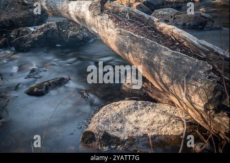 This old rotting smooth log spans across some exposed rocks in a flowing stream allowing people to cross to the small island which is not in the scene Stock Photo