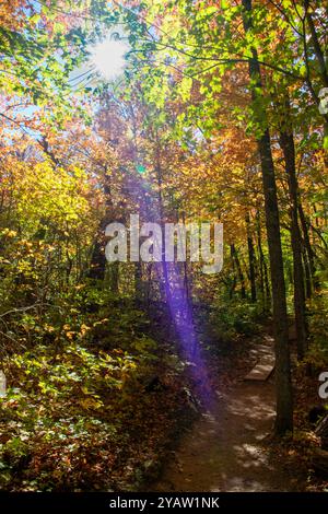 Autumn Hike in Minnesota North Woods Stock Photo