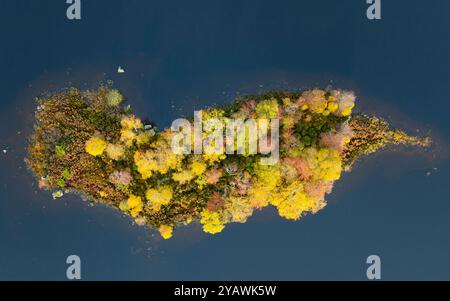 Aerial view from drone of landscape of small island and view of Loch Ba on Rannoch Moor in Scottish Highlands, Scotland, UK Stock Photo