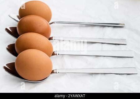 Close-up of four brown eggs arranged on stainless steel spoons on a white background. Stock Photo