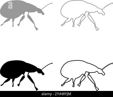 Weevil insect pest set icon grey black color vector illustration image simple solid fill outline contour line thin flat style Stock Vector