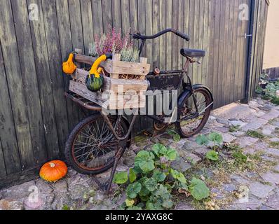 autumn decor on the  bicycle Stock Photo