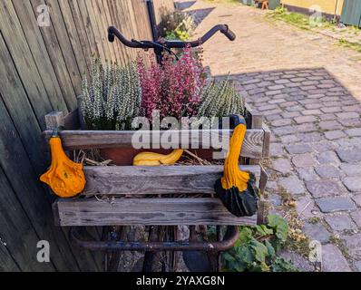 autumn decor on the  bicycle Stock Photo