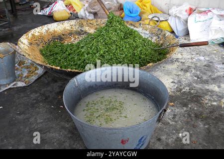 Holla Mohalla festival, Amristar, India Stock Photo