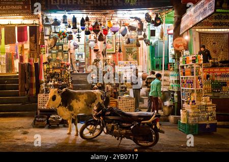 India, Rajasthan, Udaipur, daily life Stock Photo