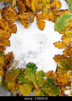 Autumn corner marble background with orange, brown, and yellow autumn oak leaves. Autumnal frame. Colorful autumn leaves isolated on gray Stock Photo