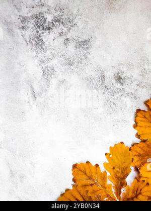 Autumn corner marble background with orange, brown, and yellow autumn oak leaves. Autumnal frame. Colorful autumn leaves on gray background Stock Photo