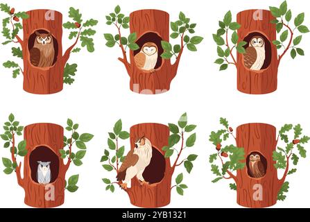 Owls in hollows. Barred owl at trunk hole oak tree, forest bird wood house nest inside, birds nature environment owlet shelter woodland home, cartoon swanky vector illustration original artwork Stock Vector