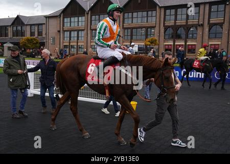 D Art D Art and jockey Donagh Meyler after winning the 2025 Membership