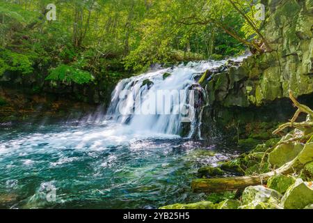 Tateshina-Otaki Falls in Nagano Prefecture, Japan, cascade over large stones and cliffs, blanketed in lush moss nourished by the cool mist rising from Stock Photo