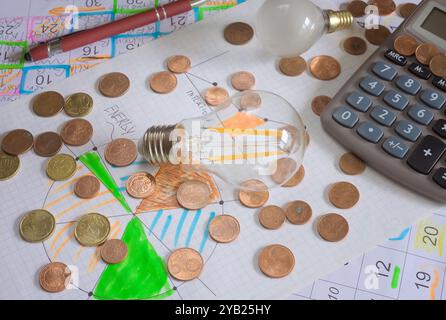 Planning for energy costs in the monthly budget for private homes or business. Still life with calculator,light bulbs, and diagrams Stock Photo