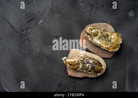 Oysters closed in a shell on sea rocks on a gray table. Raw fresh seafood. Copyspace. High quality photo Stock Photo