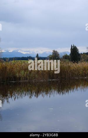 Fohnsee im Alpenvorland Fohnsee im Alpenvorland. *** Fohnsee in the ...