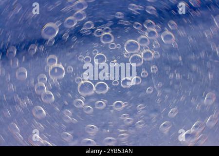 This macro photograph features an abstract background with swirling blue bubbles. Stock Photo