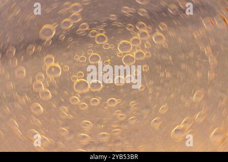 This macro photograph features an abstract background with circular shapes resembling droplets. Stock Photo