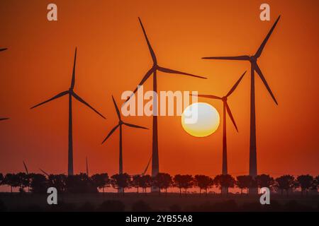Sunrise at the wind farm in Marzahna, dawn. Marzahna, Treuenbrietzen, Brandenburg, Germany, Europe Stock Photo