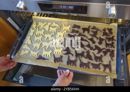 Swabian cuisine, Swabian Christmas biscuits, preparation of Ausstecherle, shortbread biscuits, cat figures, raw dough pieces with cocoa and white on b Stock Photo