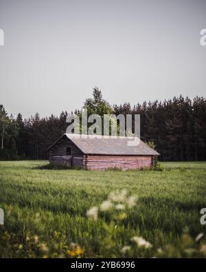 Old rustic barn on a lush green meadow bathing on sunset. Stock Photo